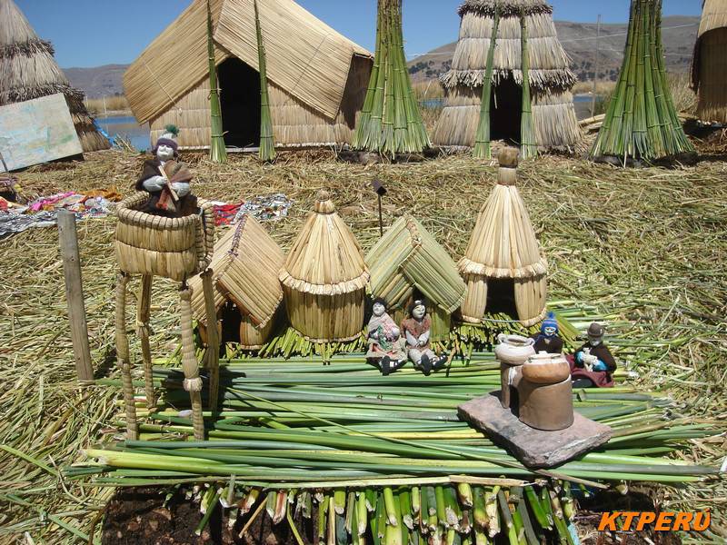 uros 8